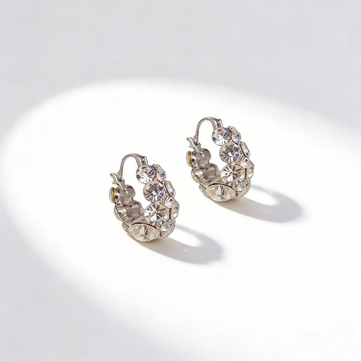 Elegant Hoop Earrings