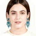 Crystal Tassel Earrings