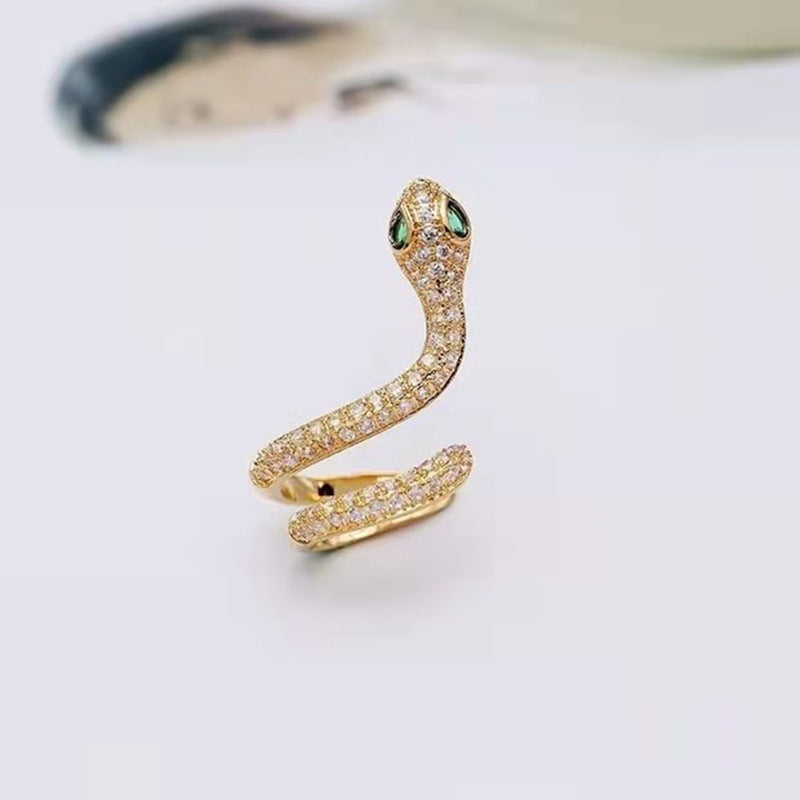 Snake Ear Bone Clip