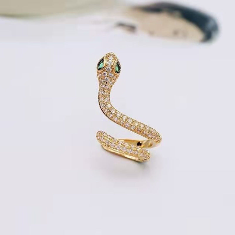 Snake Ear Bone Clip