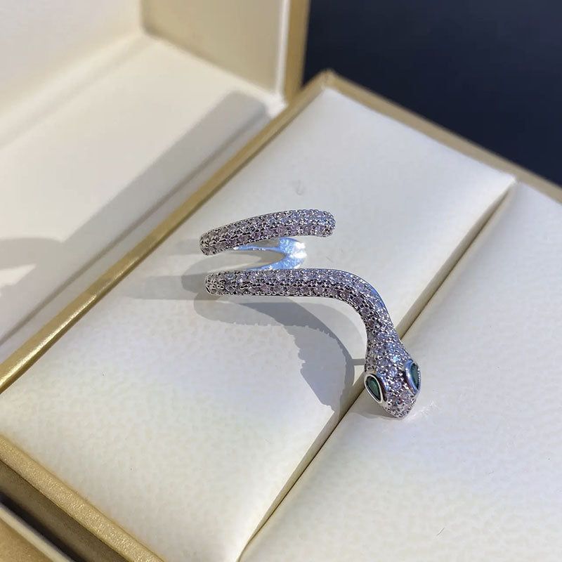 Snake Ear Bone Clip