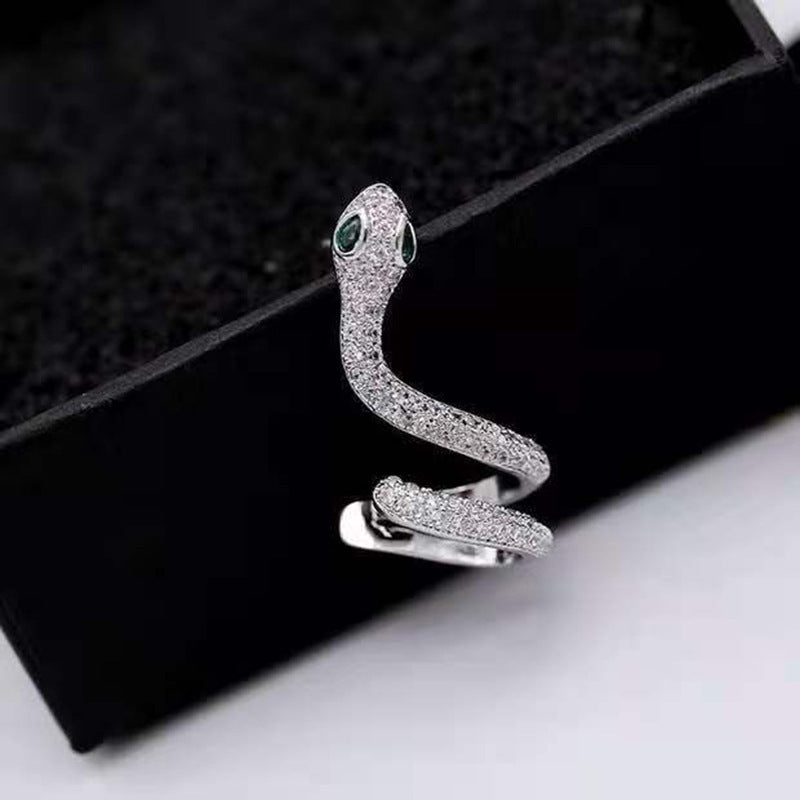 Snake Ear Bone Clip