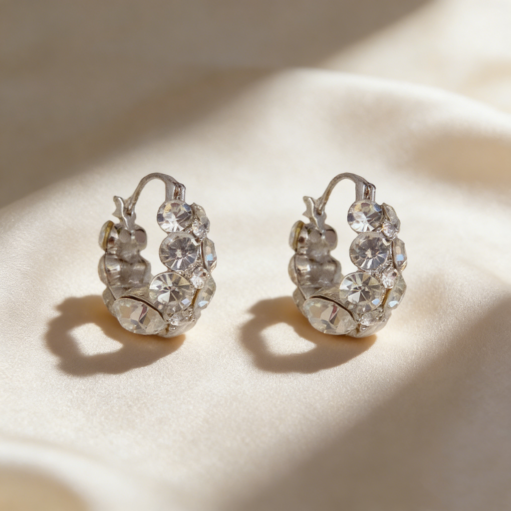 Elegant Hoop Earrings