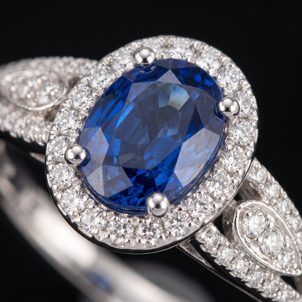 Leonora White Gold Sapphire Ring