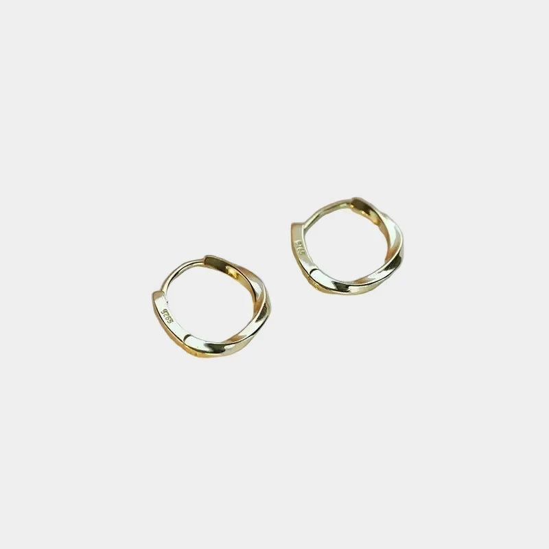 Silver Earrings with Round Insert