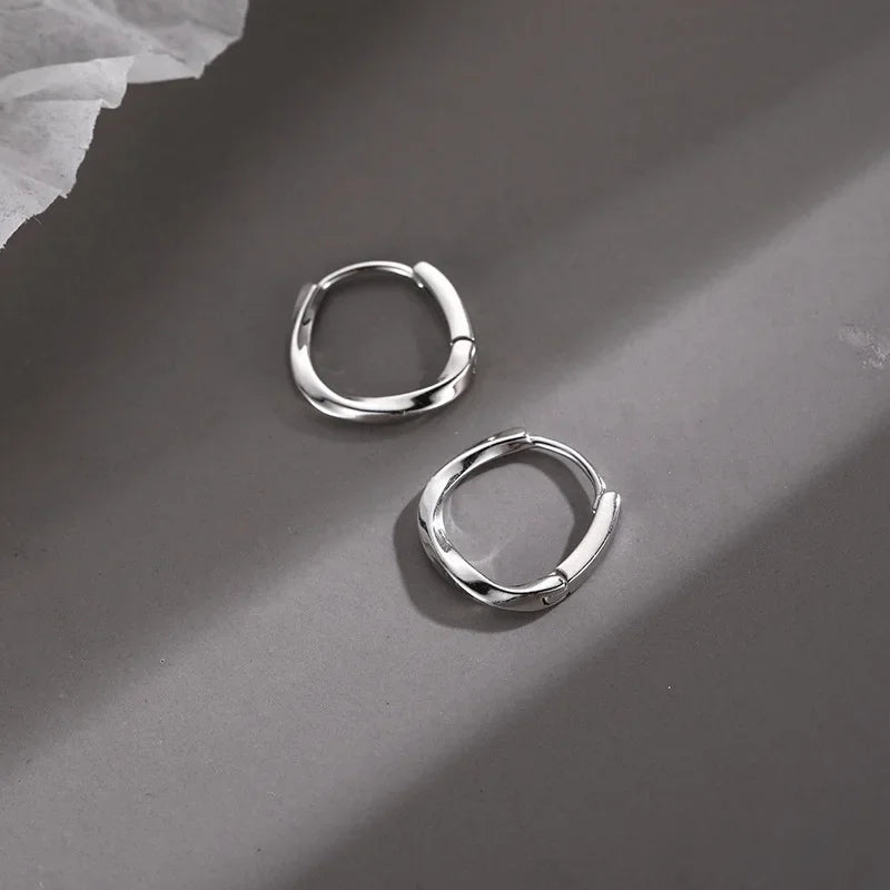 Silver Earrings with Round Insert