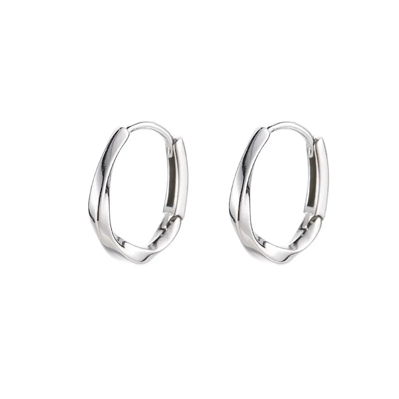 Silver Earrings with Round Insert
