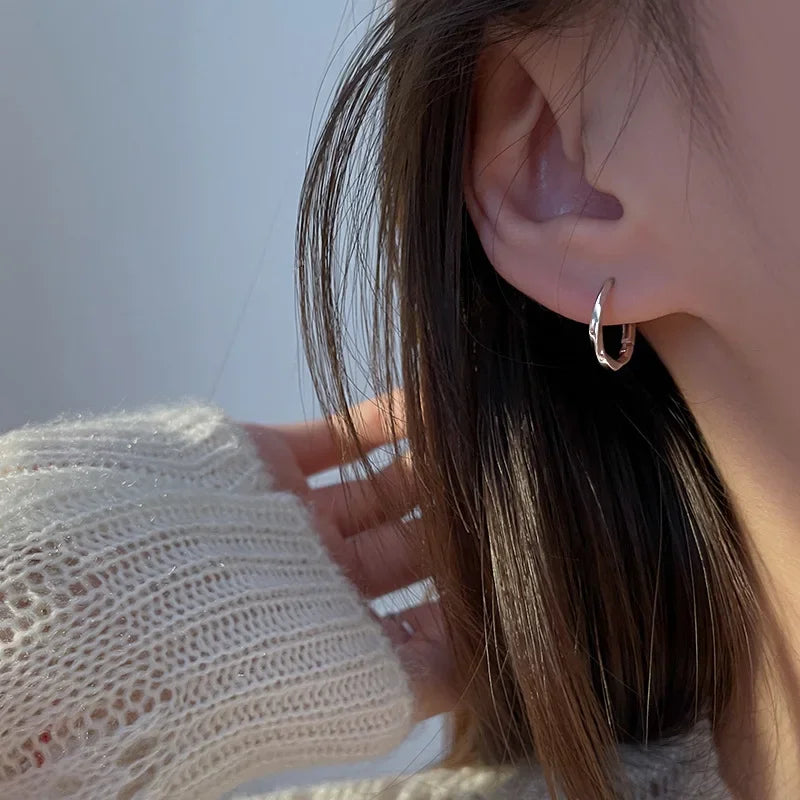 Silver Earrings with Round Insert